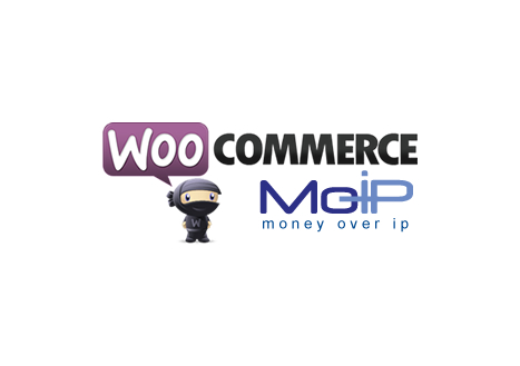 Atualização WooCommerce MoIP Transparente v2.5